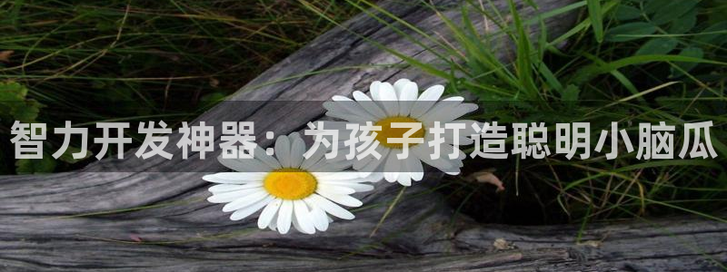 沐鸣娱乐2上来77542