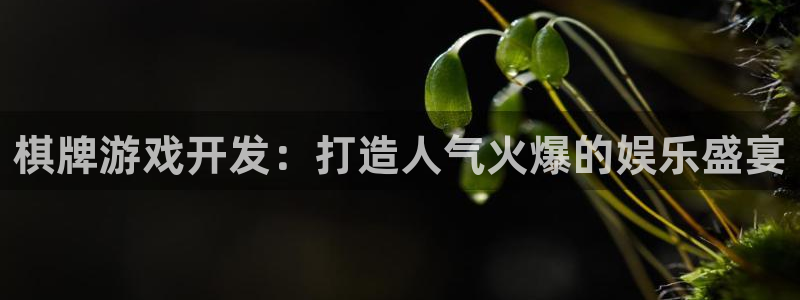 沐鸣娱乐平台2注册