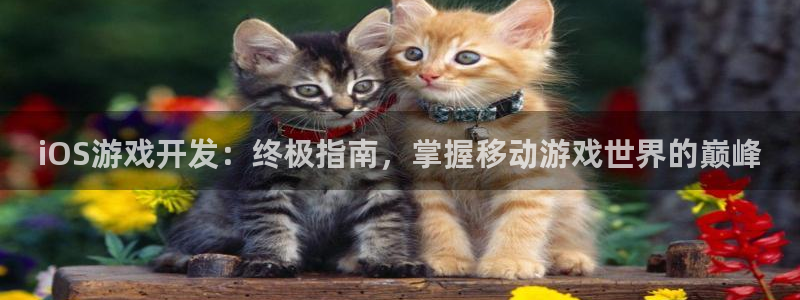 沐鸣2娱乐平台注册