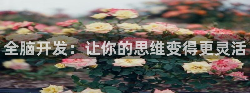 沐鸣2注册登入