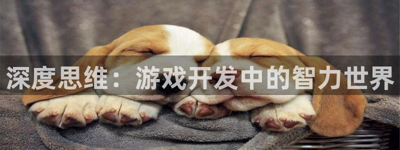 沐鸣2代理官网：深度思维：游戏开发中的智力世界