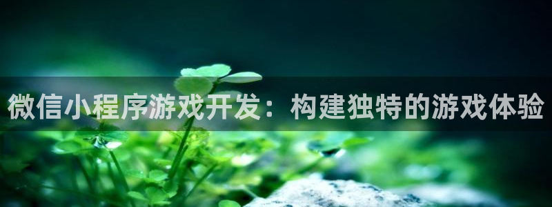 沐鸣平台由44262：微信小程序游戏开发：构建独特的游戏体验