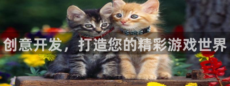 沐鸣2平台登录线路：创意开发，打造您的精彩游戏世界