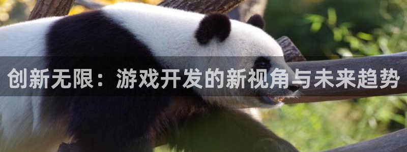 沐鸣2注册登录地址：创新无限：游戏开发的新视角与未来趋势