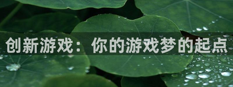 沐鸣娱乐2登录平台官网：创新游戏：你的游戏梦的起点