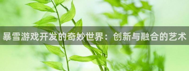 沐鸣2平台官网：暴雪游戏开发的奇妙世界：创新与融合的艺术