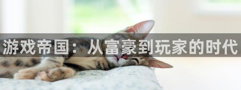 沐鸣娱乐2测速：游戏帝国：从富豪到玩家的时代