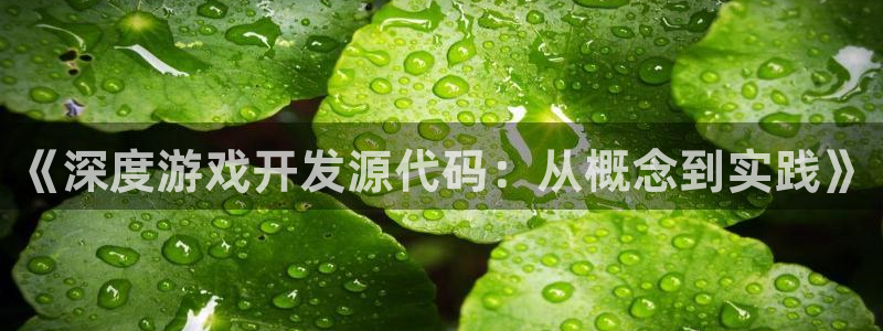 沐鸣娱乐2登入：《深度游戏开发源代码：从概念到实践》