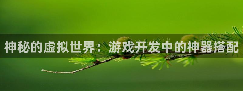 沐鸣2主管