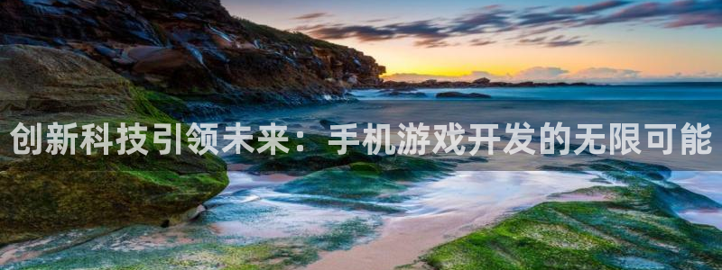 沐鸣2平台主管：创新科技引领未来：手机游戏开发的无限可能