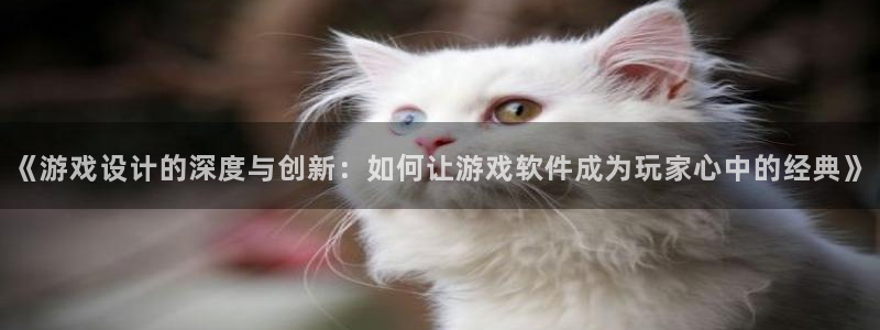 沐鸣2登陆扣27337：《游戏设计的深度与创新：如何让游戏软件成为玩家心中的经典》