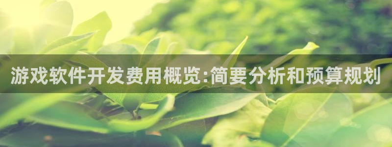 沐鸣娱乐2官网网址是多少：游戏软件开发费用概览:简要分析和预算规划
