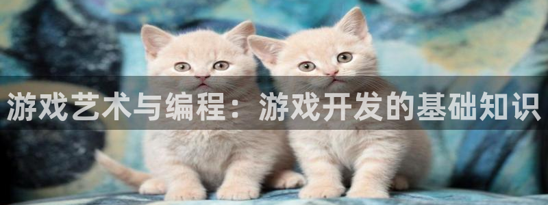 沐鸣娱乐2怎么登录账号：游戏艺术与编程：游戏开发的基础知识
