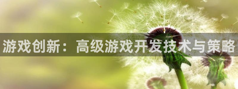 沐鸣娱乐2可靠吗：游戏创新：高级游戏开发技术与策略
