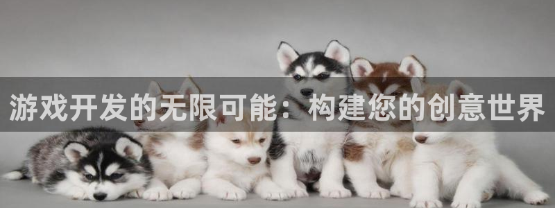 沐鸣娱乐2手机下载破解版：游戏开发的无限可能：构建您的创意世界