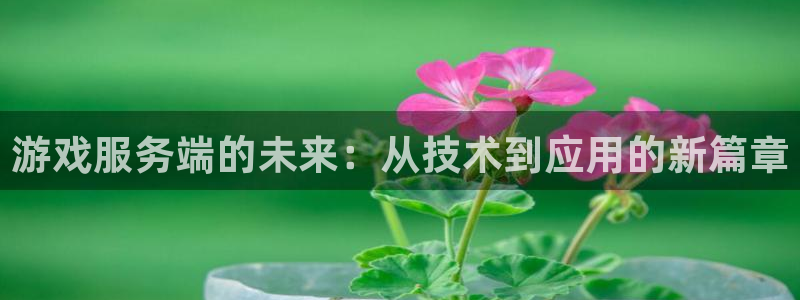沐鸣娱乐2游戏说明：游戏服务端的未来：从技术到应用的新篇章