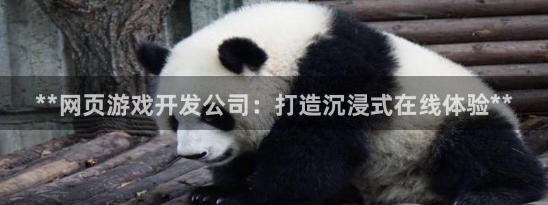 沐鸣娱乐2是正规平台么吗：**网页游戏开发公司：打造沉浸式在线体验**