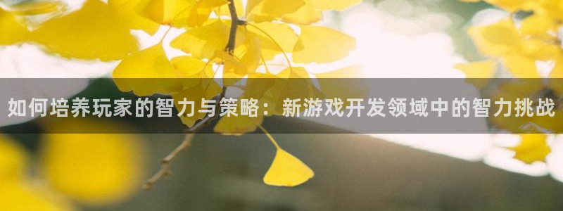 沐鸣2登录地址：如何培养玩家的智力与策略：新游戏开发领域中的智力挑战