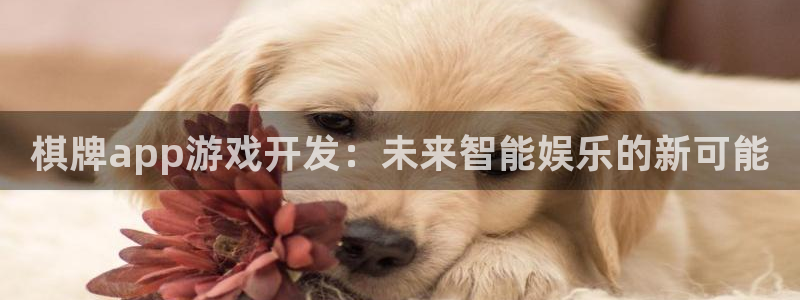 沐鸣2注册首页：棋牌app游戏开发：未来智能娱乐的新可能