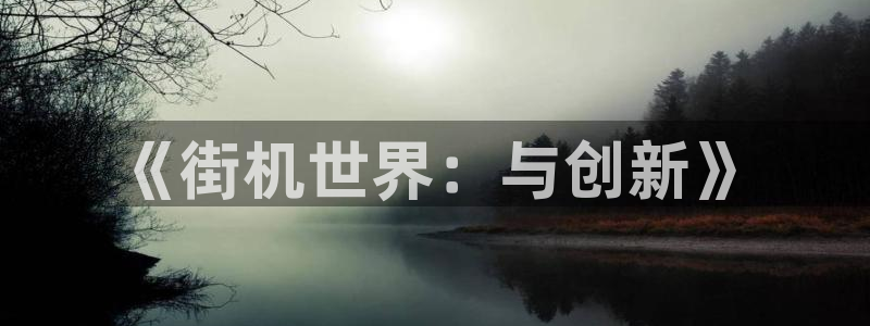 沐鸣2挂机注册：《街机世界：与创新》