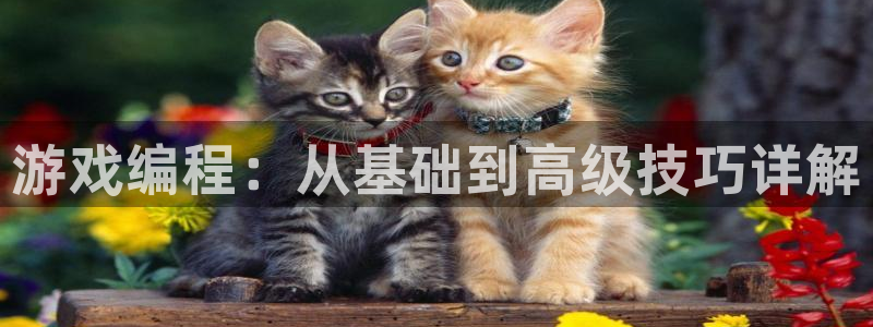 沐鸣娱乐2登录平台是什么